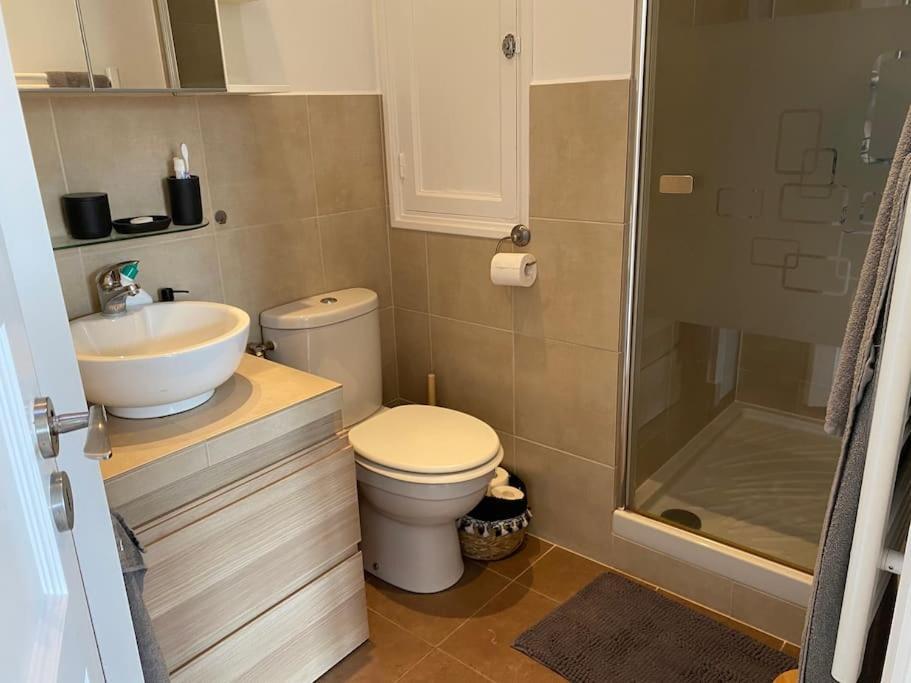 Appartement Banane, T2 Centre Ville, 400 M Des Plages Cannes